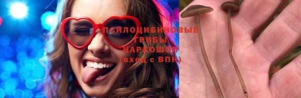 дживик Богородск
