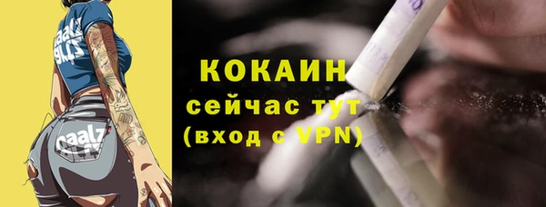 дживик Богородск