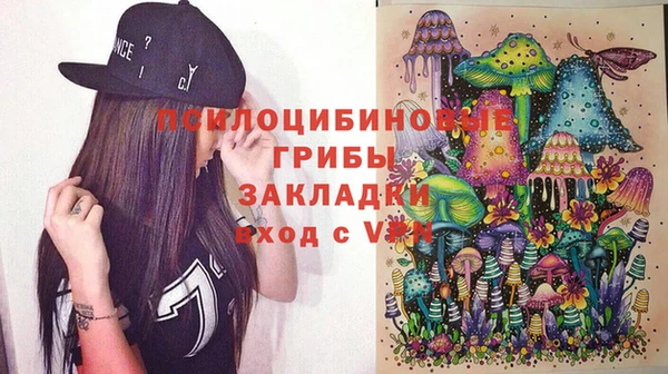 шишки Богданович