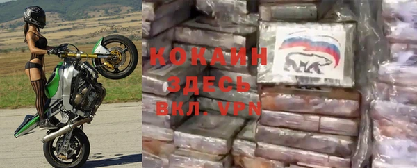 дживик Богородск