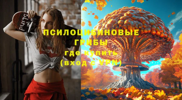 винт Богородицк